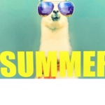 The Larry llama group