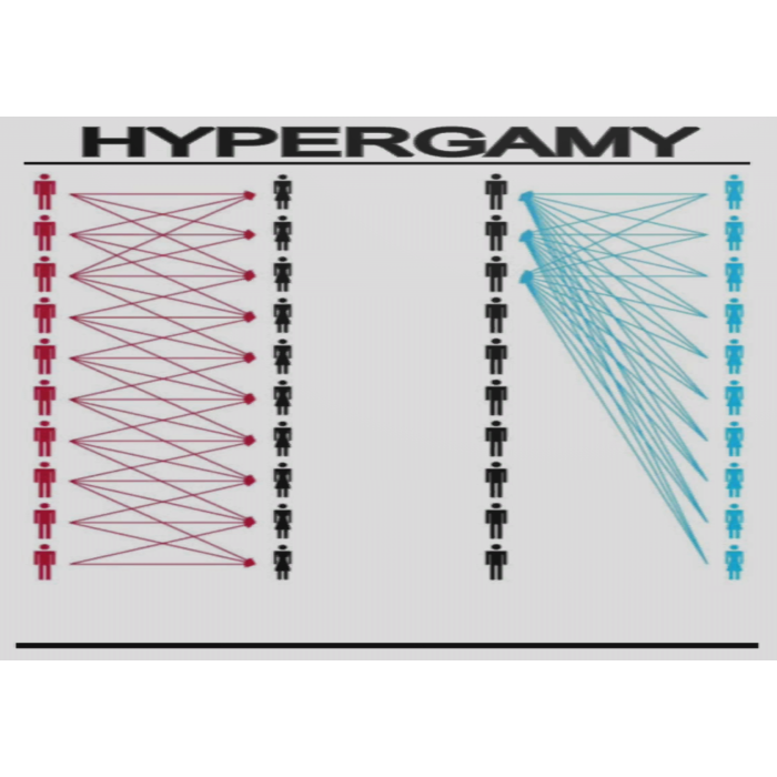 Hypergamy Scary Box
