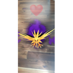 Shadowed Aesthetic