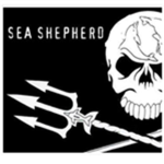 the allies of the whale wars confortion socitety