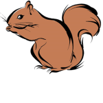 squirrel team!