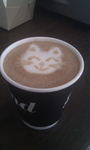Frappuccino Cat group
