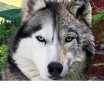 Furious_0249