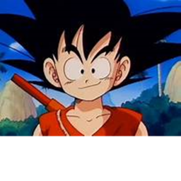 Dragon Ball Tournament