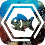 Quantum Fish Department