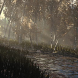 The Forest