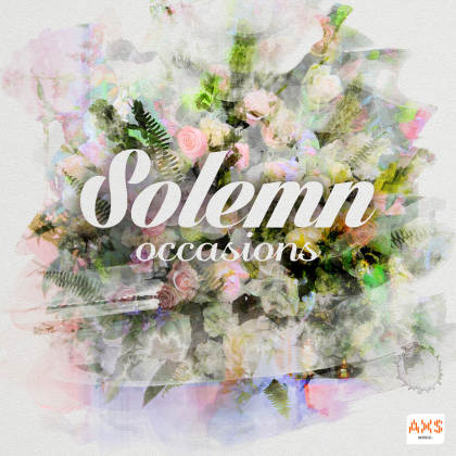 Sad Occasion Roblox music