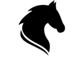 High meadow’s riding school