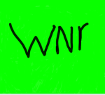 WNR Group