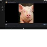 Piggies And Riley Dance!