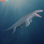 The Sharko Army