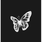 ღZodiac Signsღ