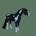 Air Ponys