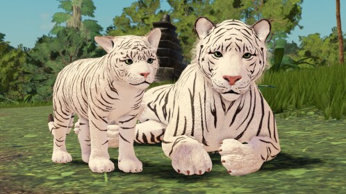 Jungle Life