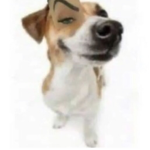 ETH3RE4L