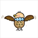 [KE]Magical Eagle