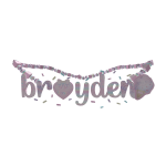 brayden necklace 1.0