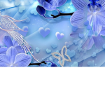 Blue butterflies in the winter