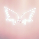 Pink Angelss