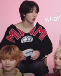 Straykids_fandom
