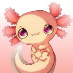 Axolotl Clothing Shop