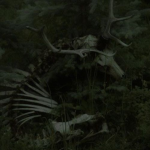 ~ Forest Critters ~