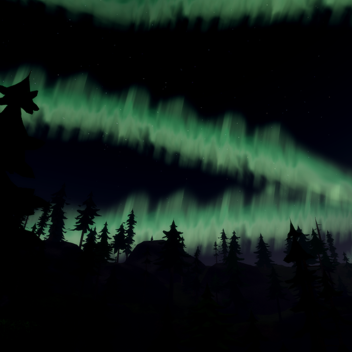 Northern Light Night Forest