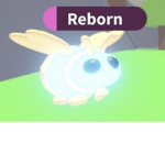 Join the B team