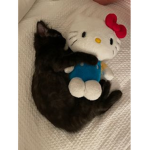 Sanrio_ideasx
