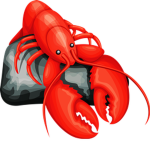 lobster ########