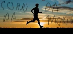 corrida da morte icon