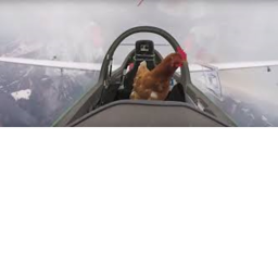 Air chiken!!!