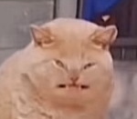 lemmehitplz1