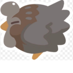 Chickens (Really Old Chickens)
