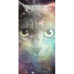 Spacecat army