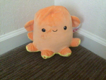 Little tiny octopus