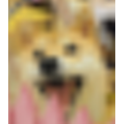 Doge Obby For Fun!!!