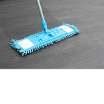 The Janitors of the Dojo
