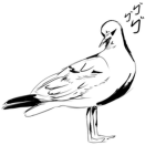 SaltySeagulls
