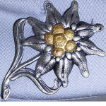 The Alpenkorps