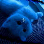 adorbsxsweets