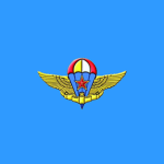 Kongjiangbing Jun
