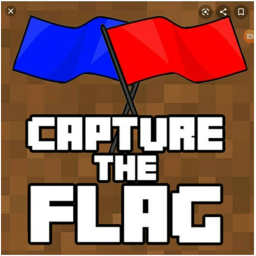Capture the flag