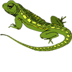 th lizards group