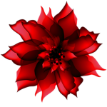 Bloom [Ro-Ghoul]