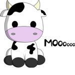 Cow squad :D