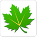 The super boss group