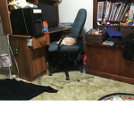 Dog are yum