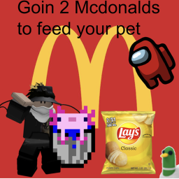 Go to mcdonalds to feed your pet (story)