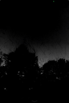 Spooky avatar rating!